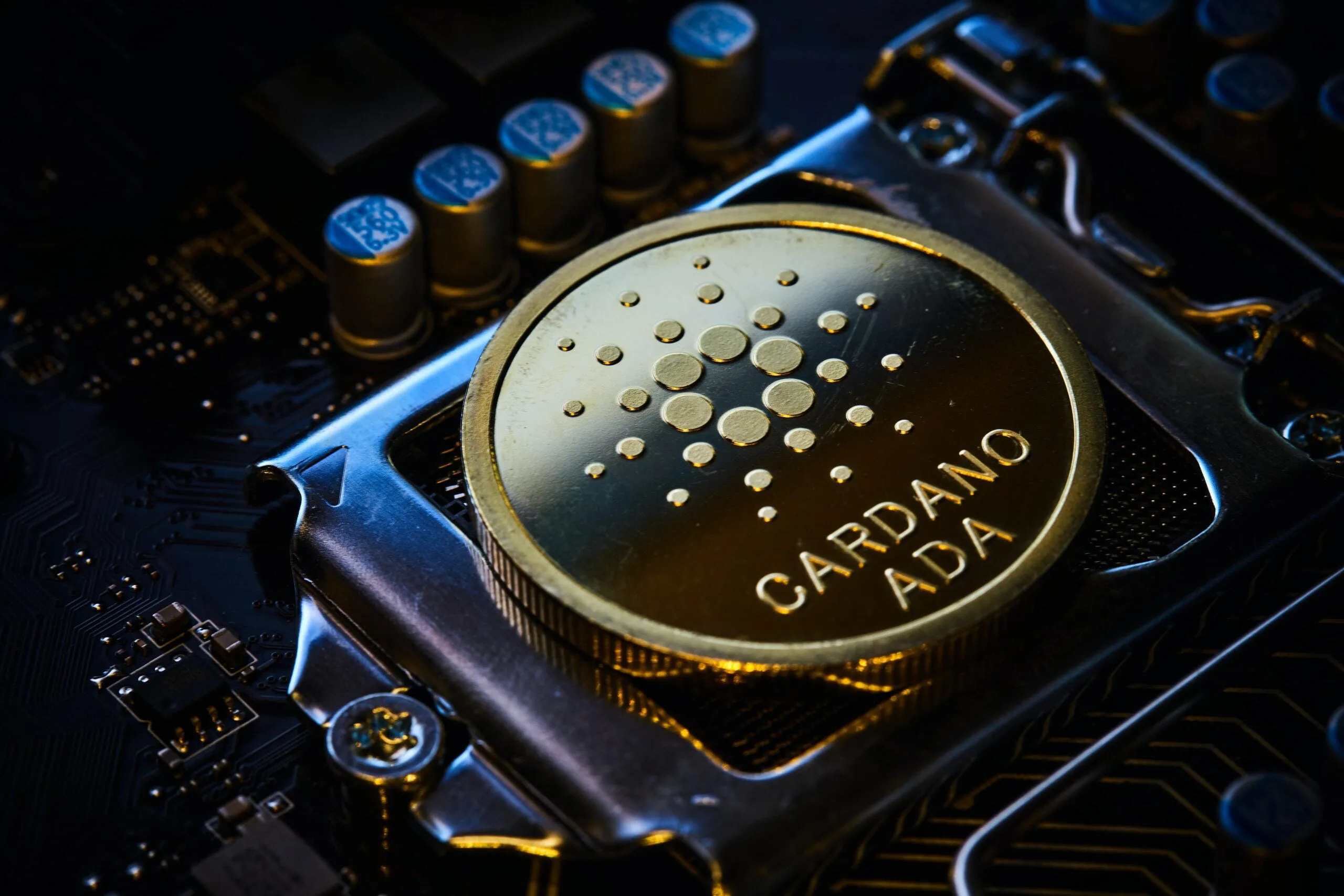 Cardano Performance Overview 