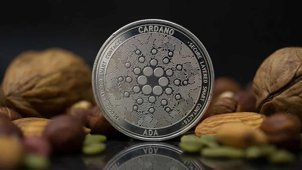 What is the best DEX on Cardano?