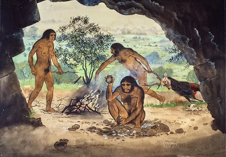 homo erectus pre civilization tools